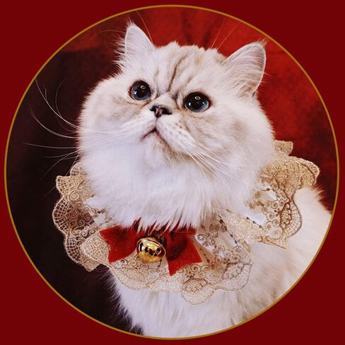Pet lace bib Wedding Scarf Cat Teddy Neck Scarf Cute Dress up lace bib Bow Scarf Small pet boy Girls Cats Dogs in Saudi Arabia