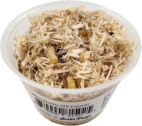 Josh's Frogs Waxworms (50 عدد) in Kuwait