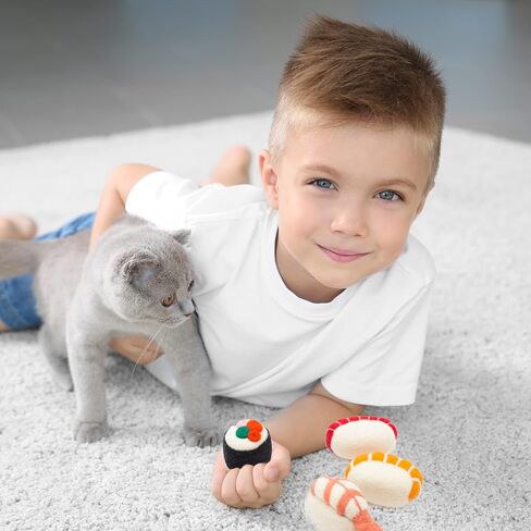 Glaciart One Felt Wool Plush Cat Toy | Soft Fuzzy Enrichment 100% Natural Wool Stuffed with Organic Catnip | Interactive Catnip Play Cat Toy | Safe for Pets, Non-AZO Colored Dyes in Saudi Arabia
