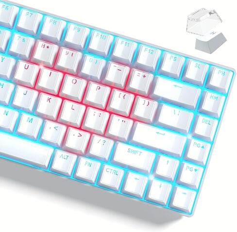 Womier Keycaps ، تألق من خلال Keycaps Black 60 65 75 100 في المائة ، Crystal Jelly Sprapcent Key Cups Custom 113 Keys ، ملف تعريف OEM لـ 61/68/84/87/98/100 Cherry Gateron MX Mechanical Keyboard in Kuwait