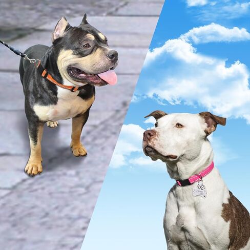 حزام استبدال Paipaitek e ذوي اليقظة - متوافق مع كل ما يقرب من صنع ونماذج من أطواق تدريب الصدمات وأياقات اللحاء - متينة وعاكسة ، 2 عبوات in Kuwait