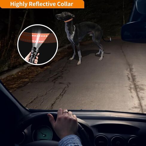 حزام استبدال Paipaitek e ذوي اليقظة - متوافق مع كل ما يقرب من صنع ونماذج من أطواق تدريب الصدمات وأياقات اللحاء - متينة وعاكسة ، 2 عبوات in Kuwait