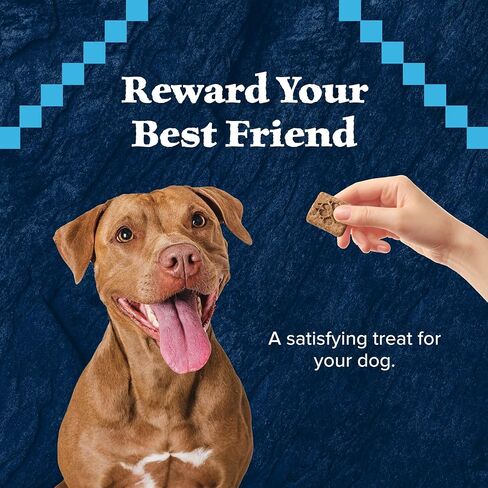 Blue Buffalo Wilderness Trail Treats High Protein Grain Free Crunchy Dog Treats Biscuits, Salmon Recipe 10-oz Bag (Pack of 2) in Saudi Arabia