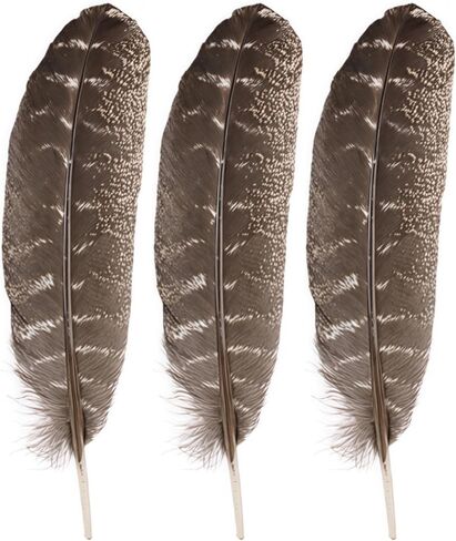GOODIY Natural Long Feathers 12Pcs 8-10 inches（20-25cm）Beautiful Natural Turkey Feathers Bilateral Large Feathers Decorative Feathers for Clothing, Hats, Wings, Handmade DIY (Turkey feather-8-10in) in Kuwait