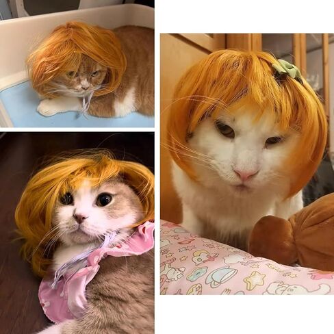 الباروكات أسود مستقيم الكلب للزي الصغير الكلب الكبير الكبير ، DIY cuttable pet cat cats for cosplay ، cat cate ، alloween ، المهرجانات in Kuwait