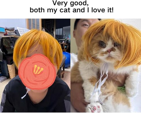 الباروكات أسود مستقيم الكلب للزي الصغير الكلب الكبير الكبير ، DIY cuttable pet cat cats for cosplay ، cat cate ، alloween ، المهرجانات in Kuwait