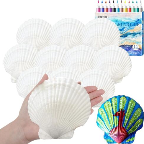 4-5inch Large Scallop Shells 10 PCS White Sea Shells Crafts for Baking DIY Painting Beaching Wedding Decoration Natural Scallop Shells Home Fish Tank Decor in Kuwait