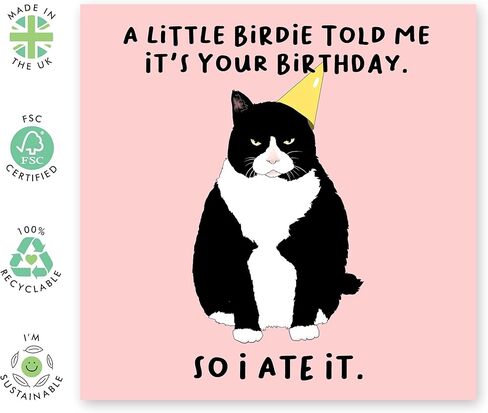 CENTRAL 23 Pop Up Birthday Cards For Women & Men - 3D Pop Up Cards for Cat Lovers - Funny Cat Birthday Card for Mom Dad Daughter Son Sister Brother in Saudi Arabia