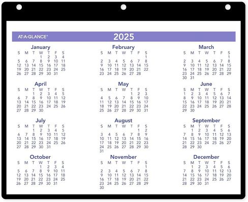 AT-A-GLANCE 2026 Wall & Desk Calendar, 11" x 8", Small, Clear Cover and Vinyl Holder (SK80026) in Saudi Arabia