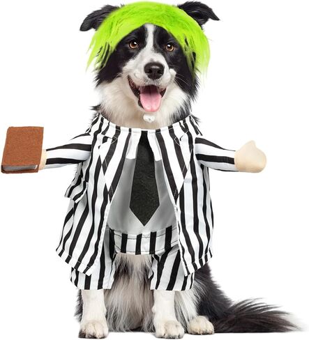 DELIFUR Dog Halloween Wizard Costume - Pet Adorable Fantacy Clothes Cat Cosplay Holiday Apparel Dress Up for Small Medium Dog Funny Outfit Adjustable (Wizard, Small) in Saudi Arabia