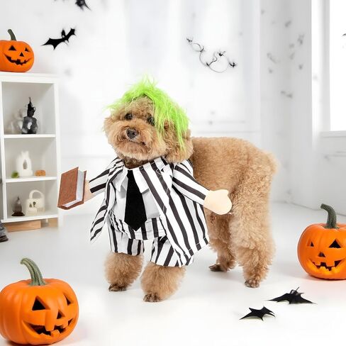 DELIFUR Dog Halloween Wizard Costume - Pet Adorable Fantacy Clothes Cat Cosplay Holiday Apparel Dress Up for Small Medium Dog Funny Outfit Adjustable (Wizard, Small) in Saudi Arabia