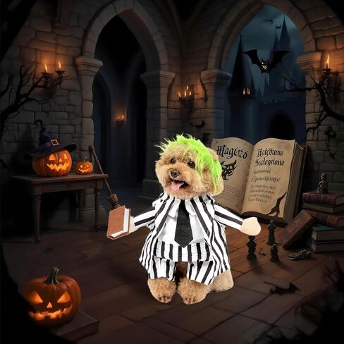 DELIFUR Dog Halloween Wizard Costume - Pet Adorable Fantacy Clothes Cat Cosplay Holiday Apparel Dress Up for Small Medium Dog Funny Outfit Adjustable (Wizard, Small) in Saudi Arabia