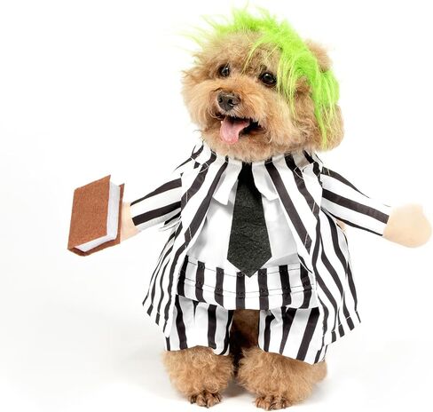 DELIFUR Dog Halloween Wizard Costume - Pet Adorable Fantacy Clothes Cat Cosplay Holiday Apparel Dress Up for Small Medium Dog Funny Outfit Adjustable (Wizard, Small) in Saudi Arabia