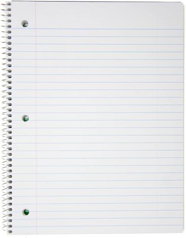 Top Flight Standards 5-Subject Wirebound Notebook, 200 Sheets, 3-Hole Punched, Wide Rule, 10.5 x 8 Inches, 1 Notebook, Color May Vary (31412) in Saudi Arabia
