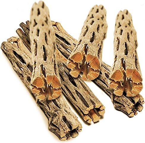 SunGrow Cholla Wood, 5" Climbing Logs, Chew Toy, Aquarium Fish, Snail, and Shrimp Driftwood, Tropical Freshwater Fish Décor, Adds Raw Beauty, 3 Pack in Saudi Arabia