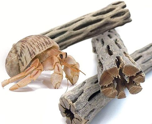 SunGrow Cholla Wood, 5" Climbing Logs, Chew Toy, Aquarium Fish, Snail, and Shrimp Driftwood, Tropical Freshwater Fish Décor, Adds Raw Beauty, 3 Pack in Saudi Arabia
