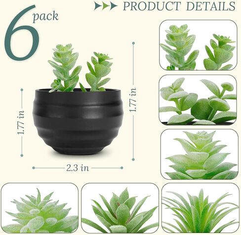 مجموعة دير روز من 6 عصارة نباتات مصطنعة في الأواني النباتات الصغيرة المزيفة لغرفة النوم الجمالية غرفة المعيشة ديكور الحمام ديكور الحمام in Kuwait