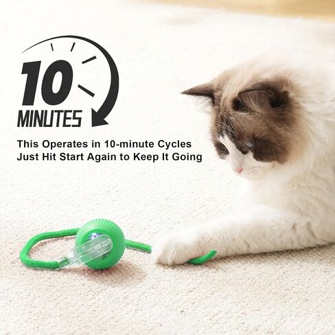 2025 New 3Pack Cat Ball Kitten Toys for Indoor Interactive Kitty Ball Toy Speedy Tail 360° Automatic Rolling(Red Grey Green) in Kuwait