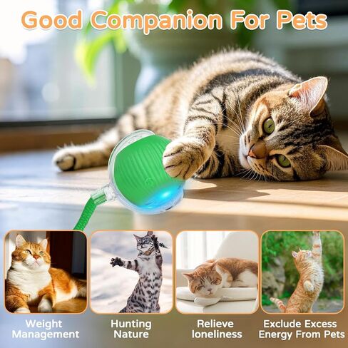 2025 New 3Pack Cat Ball Kitten Toys for Indoor Interactive Kitty Ball Toy Speedy Tail 360° Automatic Rolling(Red Grey Green) in Kuwait