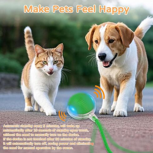 2025 New 3Pack Cat Ball Kitten Toys for Indoor Interactive Kitty Ball Toy Speedy Tail 360° Automatic Rolling(Red Grey Green) in Kuwait