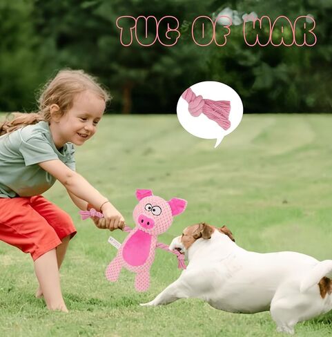 لعبة الكلب الحبل القطن مع ورقة متهالكة - لعبة مضغ تفاعلية للجرى الصغيرة والمتوسطة ، تصميم الضفدع in Kuwait