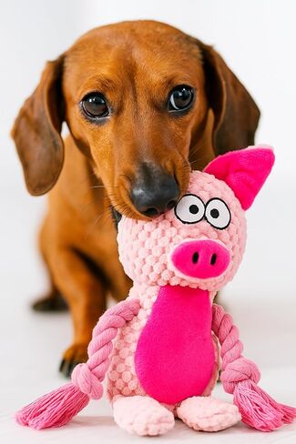 لعبة الكلب الحبل القطن مع ورقة متهالكة - لعبة مضغ تفاعلية للجرى الصغيرة والمتوسطة ، تصميم الضفدع in Kuwait