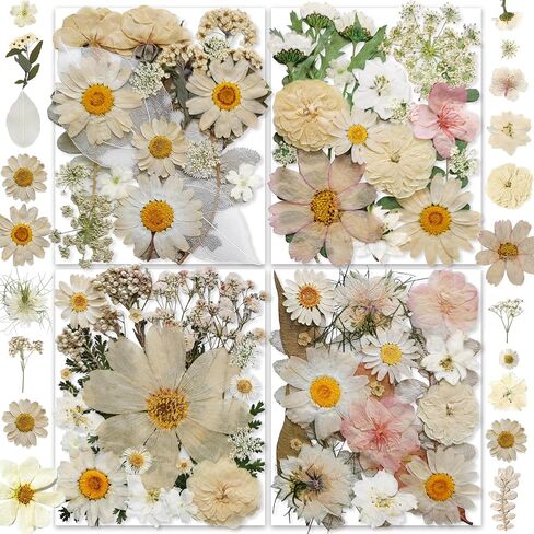 141PCS Brown Fall Dried Pressed Flowers for Resin - YouthBro Real Nature Flowers Butterfly Stikers Set for Christmas DIY Candle Soap Vase Making Nail Card Scrapbook Art Craft Floral Decors in Kuwait