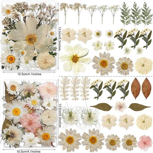 141PCS Brown Fall Dried Pressed Flowers for Resin - YouthBro Real Nature Flowers Butterfly Stikers Set for Christmas DIY Candle Soap Vase Making Nail Card Scrapbook Art Craft Floral Decors in Kuwait