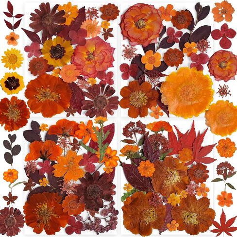 269pcs زهور مضغوطة مجففة للرياحات الحرف - يونغبرو الطبيعة الحقيقية مجموعة مع ملصقات الفراشة لمجوهرات DIY مسامير القصاصة الفنية الأزهار ديكورز in Kuwait
