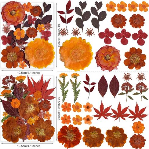 269pcs زهور مضغوطة مجففة للرياحات الحرف - يونغبرو الطبيعة الحقيقية مجموعة مع ملصقات الفراشة لمجوهرات DIY مسامير القصاصة الفنية الأزهار ديكورز in Kuwait