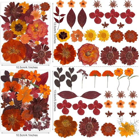 269pcs زهور مضغوطة مجففة للرياحات الحرف - يونغبرو الطبيعة الحقيقية مجموعة مع ملصقات الفراشة لمجوهرات DIY مسامير القصاصة الفنية الأزهار ديكورز in Kuwait
