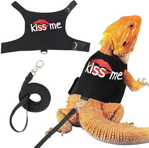 مقود التنين الملتحي وتسخير ، زواحف سحلية قابلة للتعديل تسخير الملابس بمقود 4.76 قدم ، وحيوانات أليفة صغيرة ومقود على السحالي القشور الهامستر على المشي في الهواء الطلق in Kuwait