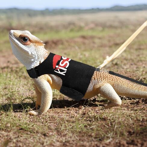 مقود التنين الملتحي وتسخير ، زواحف سحلية قابلة للتعديل تسخير الملابس بمقود 4.76 قدم ، وحيوانات أليفة صغيرة ومقود على السحالي القشور الهامستر على المشي في الهواء الطلق in Kuwait