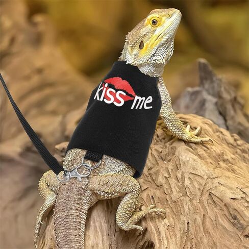 مقود التنين الملتحي وتسخير ، زواحف سحلية قابلة للتعديل تسخير الملابس بمقود 4.76 قدم ، وحيوانات أليفة صغيرة ومقود على السحالي القشور الهامستر على المشي في الهواء الطلق in Kuwait