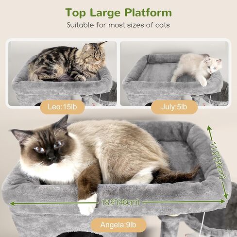 F66 Corner Cat Tree 66 بوصة برج التسلق متعدد المستويات Kitty Cats Cat Tower لقطط متعددة داخلية مع منصة كبيرة ، 3 كهوف القط ، رمادي داكن in Kuwait