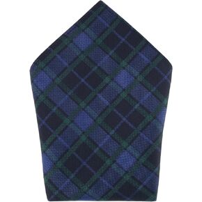Trafalgar Men's Ives Green and Navy Blackwatch Plaid Silk Pocket Square