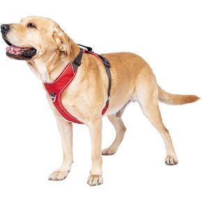 No Pull Dog Harness with Back Control Handle Medium Sized, Reflective Vest, Adjustable and Padded, Easy Walker Front/Back Clips (Purple, Medium)