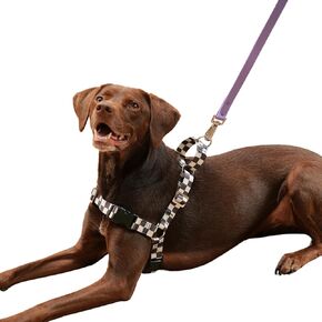 No Pull Dog Harness, Reversible and Adjustable, Comfortable, Easy On and Off Halter, for Small, Medium, Large and XL Dogs, Black and Cream (Small)