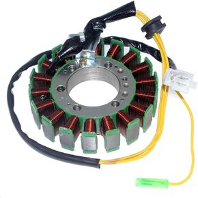 CF250 18 Pole Stator Coil Compatible with CFmoto Motorcyle V3 V5 Scooteer Fashion, OEM Parts Number 0110-032000