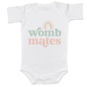 Twin Baby Onesies Boy and Girl Womb Mates Rainbow Cute Multiple Birth Babywear New Life Born Together Sibling Shirt (0-6 Months, Pink-Bodysuit)