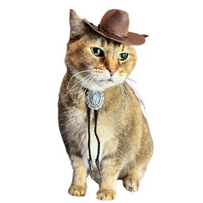 Brown Cowboy Cat Hat and bolo tie for cat, Cowboy hat for Dog and bolo tie for dog (Brown Hat with Bolo Tie)