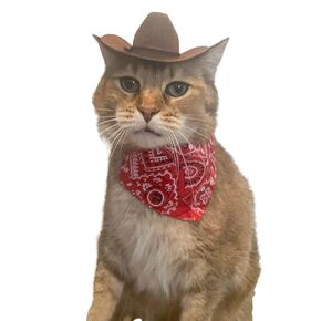 Brown Cowboy Cat Hat and bolo tie for cat, Cowboy hat for Dog and bolo tie for dog (Brown Hat with Bolo Tie)