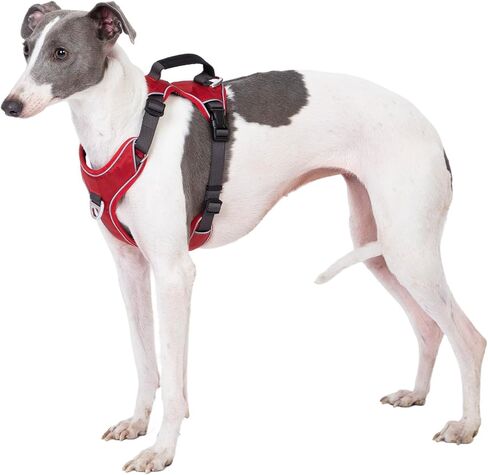 No Pull Dog Harness with Back Control Handle Medium Sized, Reflective Vest, Adjustable and Padded, Easy Walker Front/Back Clips (Purple, Medium) in Saudi Arabia