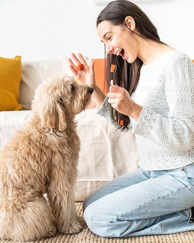 Paw Ready Pet Toothbrushing Assistant for Puppies' Dogs and Cats Allows You to Brush Your pet’s Teeth Without Constantly Worrying About Getting Bitten. (Blue, Small) in Kuwait