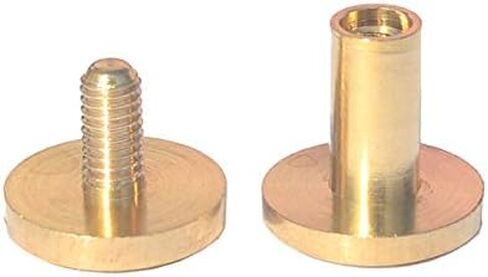 DGOL 12 Pairs Brass Backscrews with Hole Punch Golden Leather Fasteners Sturdy Binding Rivets Belt Strap Collar Back Screws Length (0.158 inch) in Saudi Arabia