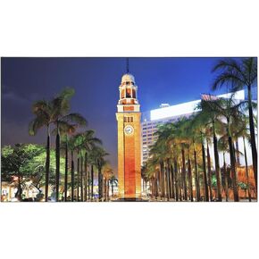 NEC Display X555UNS 55" Screen Led-Lit Monitor in Saudi Arabia