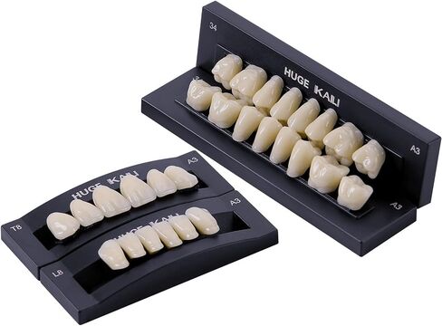 Dental Acrylic Resin Denture False Teeth A3, T6 Synthetic Polymer Resin Fake Teeth for Replacement, Halloween, DIY (28 Pcs/Set) in Saudi Arabia