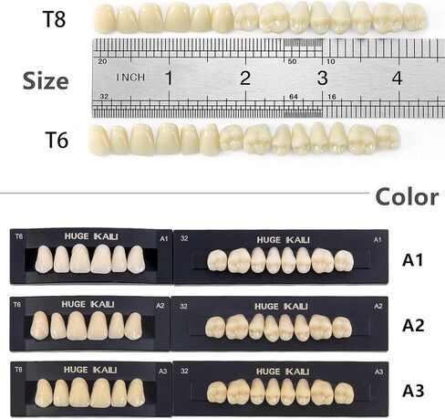 Dental Acrylic Resin Denture False Teeth A3, T6 Synthetic Polymer Resin Fake Teeth for Replacement, Halloween, DIY (28 Pcs/Set) in Saudi Arabia