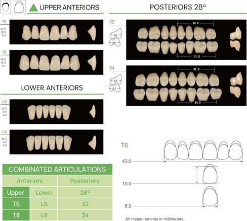 Dental Acrylic Resin Denture False Teeth A3, T6 Synthetic Polymer Resin Fake Teeth for Replacement, Halloween, DIY (28 Pcs/Set) in Saudi Arabia