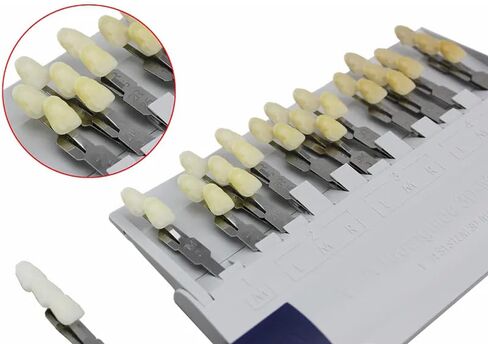 Dental Shade Guide 3D Master | 29 Colors Including Bleaching Shades for Veneers & Esthetics | Professional Tooth Color Matching Tool for Accurate Dental Shade Selection in Kuwait